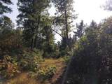 V/L Putnam Road - Photo 10