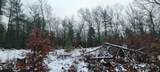 V/L Putnam Road - Photo 13