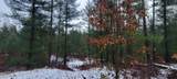 V/L Putnam Road - Photo 14