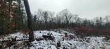 V/L Putnam Road - Photo 15