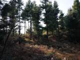 V/L Putnam Road - Photo 4