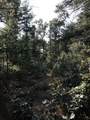 V/L Putnam Road - Photo 8