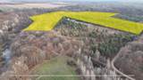 V/L Stoneybrook Trail - Photo 24