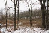  Sugar Creek Lot 36 - Photo 8