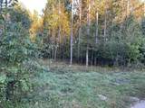 V/L Pine Ridge Road - Photo 11