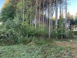 V/L Pine Ridge Road - Photo 12