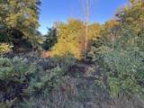V/L Pine Ridge Road - Photo 13