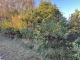 V/L Pine Ridge Road - Photo 14