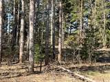 V/L Pine Ridge Road - Photo 4