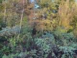 V/L Pine Ridge Road - Photo 8