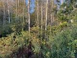 V/L Pine Ridge Road - Photo 9