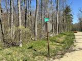  V/L 3 Mile Road - Photo 10