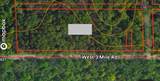  V/L 3 Mile Road - Photo 11