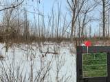 LOT A Ubly Road - Photo 7