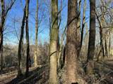  124th Avenue - Photo 13
