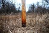 7025 Clinton Road - Photo 1