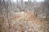 7025 Clinton Road - Photo 15