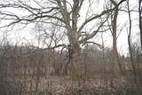 7025 Clinton Road - Photo 16
