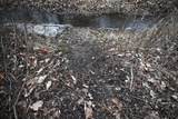 7025 Clinton Road - Photo 2