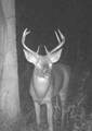 7025 Clinton Road - Photo 23