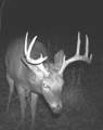 7025 Clinton Road - Photo 25