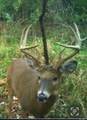 7025 Clinton Road - Photo 26