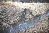 7025 Clinton Road - Photo 3