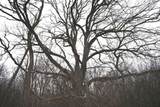 7025 Clinton Road - Photo 4