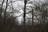 7025 Clinton Road - Photo 8