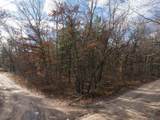0 Saginaw Trail - Photo 10