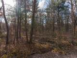 0 Saginaw Trail - Photo 9