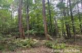 VL Old Owl Drive - Photo 4