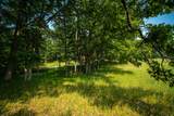 8161 Hunters Ridge Drive - Photo 1