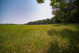 8161 Hunters Ridge Drive - Photo 19