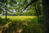 8161 Hunters Ridge Drive - Photo 28