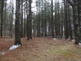 5525 Croton Hardy Drive - Photo 7