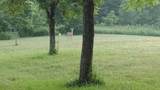17420 Long Lake Drive - Photo 4