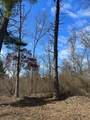  Gesh Trail, Lot 2 - Photo 6