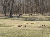 13001 14 Mile Road - Photo 12