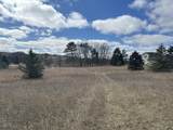 12305 Summerhill Drive - Photo 4