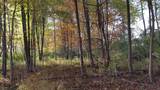 856 Greystone Drive - Photo 2