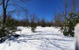 19.5 Acres 9 Mile Road - Photo 12