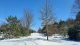 19.5 Acres 9 Mile Road - Photo 2