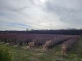  72nd Street Street - Photo 4