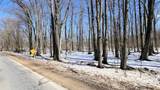 VL Doster Road, Lot#Wp001 - Photo 27