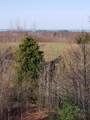  Eagel Ridge Circle - Photo 4