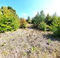  Eagle Ridge Circle - Photo 10