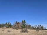21400 21 Mile Road - Photo 3