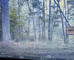 10 Acres +/- V/L S Queens Hwy - Photo 9