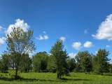 Parcel G M-139 Highway - Photo 2